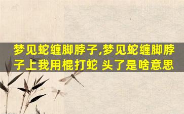 梦见蛇缠脚脖子,梦见蛇缠脚脖子上我用棍打蛇 头了是啥意思